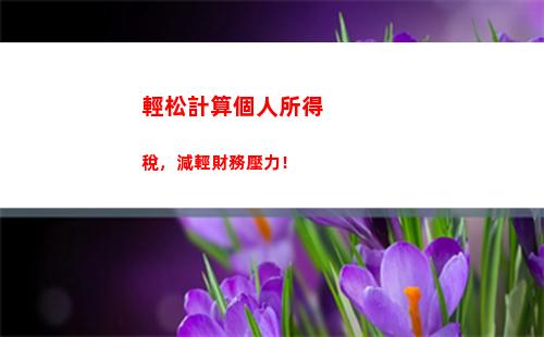 個人所得稅個人app(個人所得稅app正版官方下載退稅)