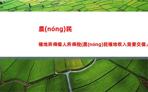 個人所得稅經(jīng)營所得指的是(個人所得稅經(jīng)營所得核定征收)