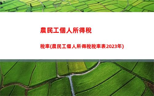 芬蘭個人所得稅(芬蘭個人所得稅政策)