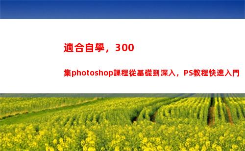適合自學，300集photoshop課程從基礎到深入，PS教程快速入門(適合自學的高等數學教材)