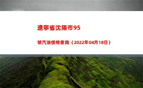 遼寧省沈陽市95號汽油價格查詢（2022年04月18日）