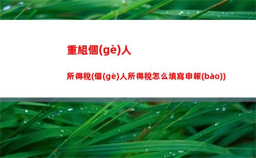 個(gè)人所得稅的承包所得稅(個(gè)體戶申報(bào)個(gè)人所得稅和經(jīng)營所得稅)