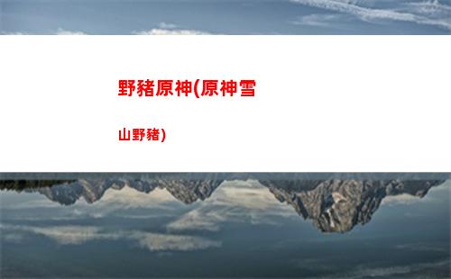 翼神原廠輪胎(翼神原廠輪胎傾角)