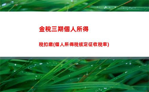 個人所得稅房子稅(個人所得稅怎么退房子稅)