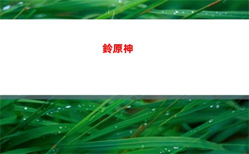 神之瞳原神(神瞳原神位置)