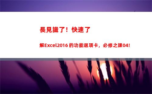 長見識了！快速了解Excel2016 的功能選項卡，必修之課04！(怎么快速長見識)