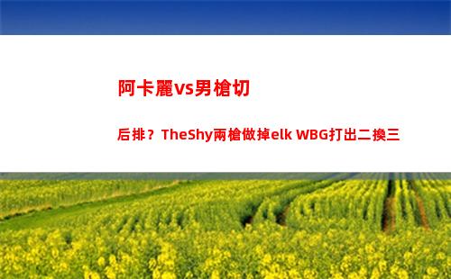 阿卡麗vs男槍切后排？TheShy兩槍做掉elk WBG打出二換三