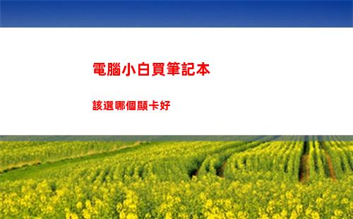 電腦小白買筆記本該選哪個顯卡好(電腦小白買筆記本讓賣家直接裝好系統)