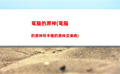 胡桃原神(胡桃原神腿法嫻熟)