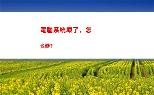 電腦系統壞了，怎么辦？(電腦系統壞了怎么修復win10)