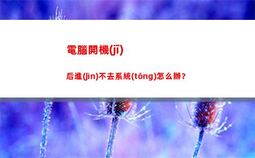 電腦開機(jī)后進(jìn)不去系統(tǒng)怎么辦？(電腦啟動(dòng)后進(jìn)不了系統(tǒng)怎么辦)插圖