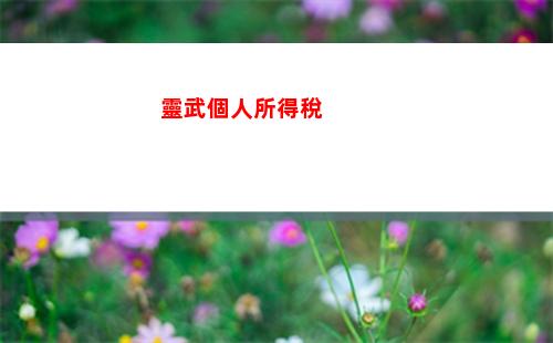 個人所得稅經營所得填報(個人所得稅經營所得減免)