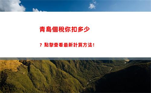 個人所得稅的混合所得稅(個人所得稅和個人經營所得稅一樣嗎)
