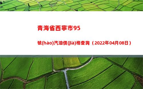 青海省西寧市95號(hào)汽油價(jià)格查詢（2022年04月08日）