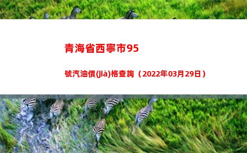 青海省西寧市95號汽油價(jià)格查詢（2022年03月29日）