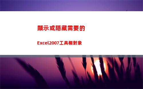 顯示或隱藏需要的Excel2007工具欄對象