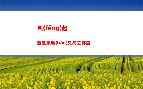 風(fēng)起蒼嵐賬號(hào)交易去哪里