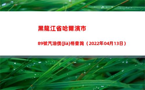 黑龍江省哈爾濱市89號汽油價(jià)格查詢（2022年04月13日）