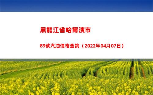 黑龍江省哈爾濱市89號汽油價格查詢（2022年04月07日）