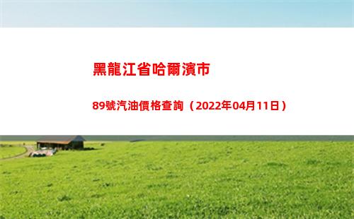黑龍江省哈爾濱市89號汽油價格查詢（2022年04月11日）