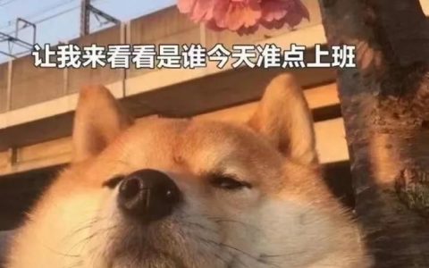 購房貸款計(jì)算器首付(房屋貸款首付計(jì)算器)