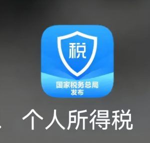 如何查詢個人所得稅(粵省事如何查詢個人所得稅)