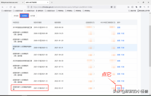 個人所得稅申報流程(個人所得稅申報流程視頻)