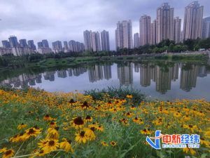 公積金裝修貸款計算器(公積金裝修貸款計算器2021最新版)