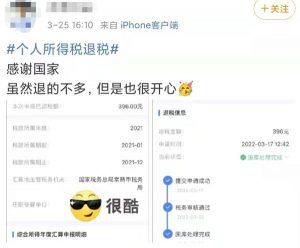 個人所得稅app下載(個人所得稅app下載國家稅務總局)