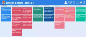 個人所得稅查詢(個人所得稅查詢五險一金繳費明細)