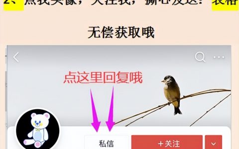 個稅計算器上海(個稅計算器上海2021)
