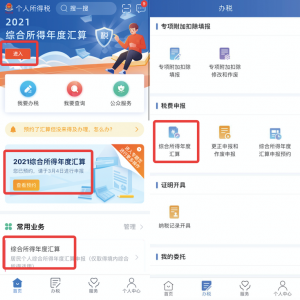 個(gè)人所得稅申報(bào)軟件(個(gè)人所得稅申報(bào)軟件電腦版)