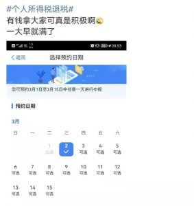 個人所得稅app下載(個人所得稅app下載安裝官方免費下載溧水有那些好玩的)