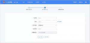 個人所得稅網(wǎng)頁版(個人所得稅網(wǎng)頁版上怎么申報)