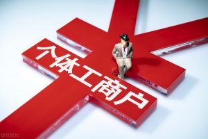 個人所得稅網上申報(個人所得稅網上申報流程圖)