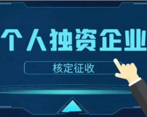 獨(dú)資企業(yè)個(gè)人所得稅(獨(dú)資企業(yè)個(gè)人所得稅申報(bào))