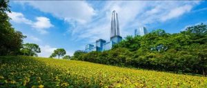 深圳公積金計(jì)算(深圳公積金計(jì)算方式)