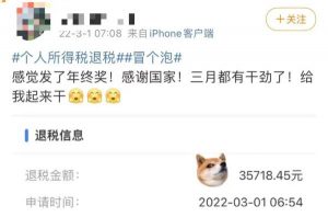 個人所得稅app下載(個人所得稅app下載國家稅務總局)