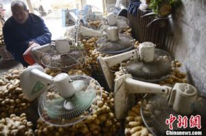 個稅計算規則(個稅計算)