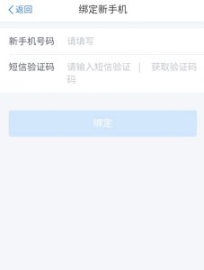 個人所得稅網(wǎng)頁版(個人所得稅網(wǎng)頁版上怎么申報)