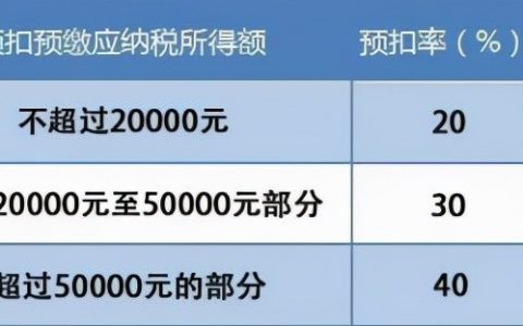 代繳個人所得稅(代扣代繳個人所得稅)