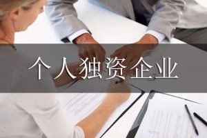 獨(dú)資企業(yè)個(gè)人所得稅(獨(dú)資企業(yè)個(gè)人所得稅申報(bào))