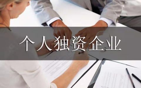 獨資企業個人所得稅(獨資企業個人所得稅申報)