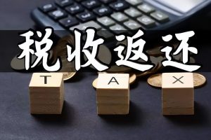 個人所得稅返稅(個人所得稅返稅給個人)