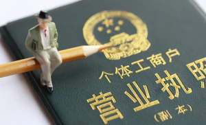 個(gè)體戶個(gè)人所得稅(個(gè)體戶個(gè)人所得稅稅率)
