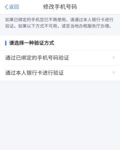 個人所得稅網(wǎng)頁版(個人所得稅網(wǎng)頁版上怎么申報)