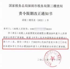 補繳個人所得稅(個人所得稅app 補繳個人所得稅)
