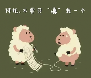 菜鳥裹裹優惠碼(菜鳥裹裹優惠碼2021)