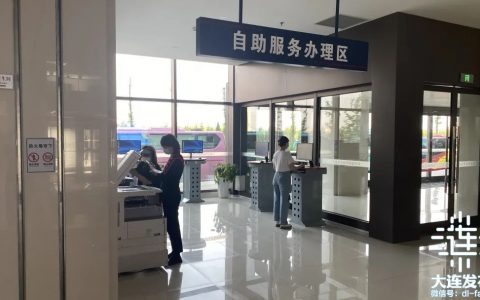 個人所得稅怎么查(個人所得稅怎么查社保繳納情況)