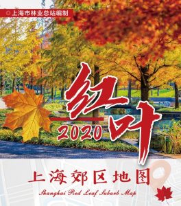 個稅計算器 上海